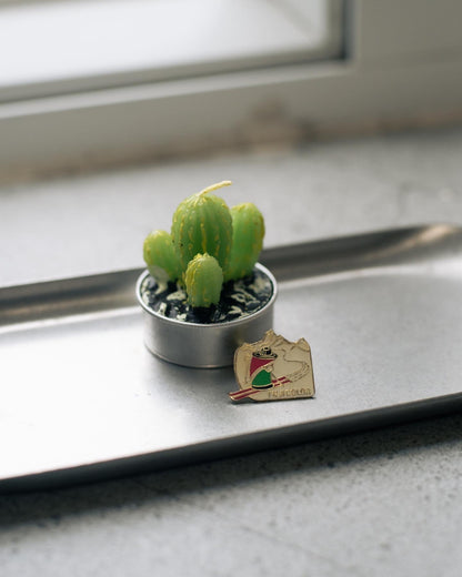 Brands Pins - From Japan