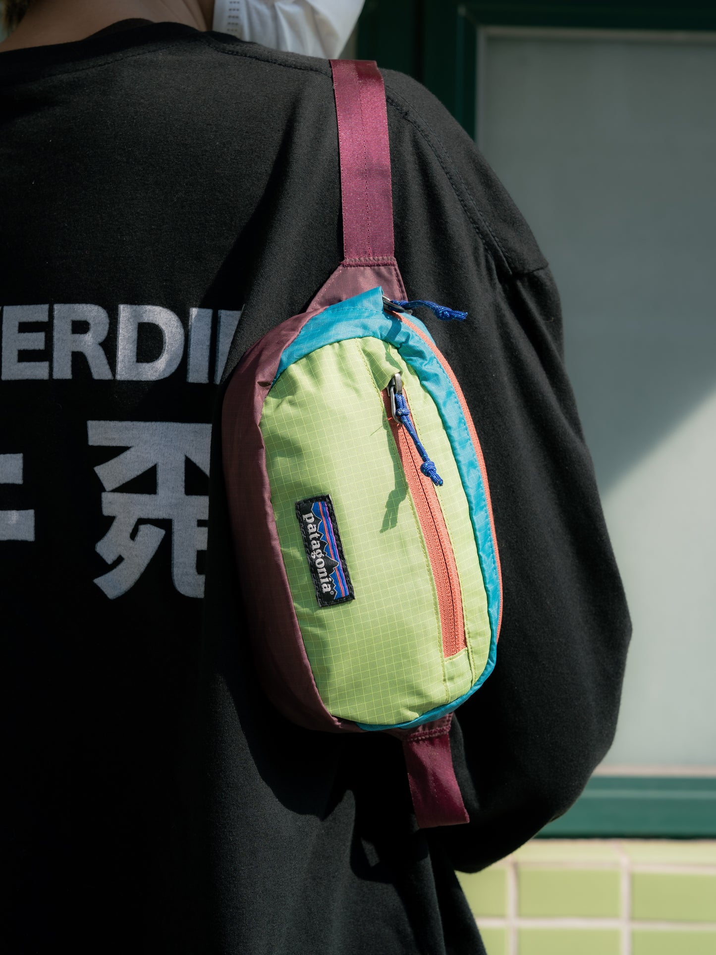 "PATAGONIA" Terravia Mini Hip Pack (1L)