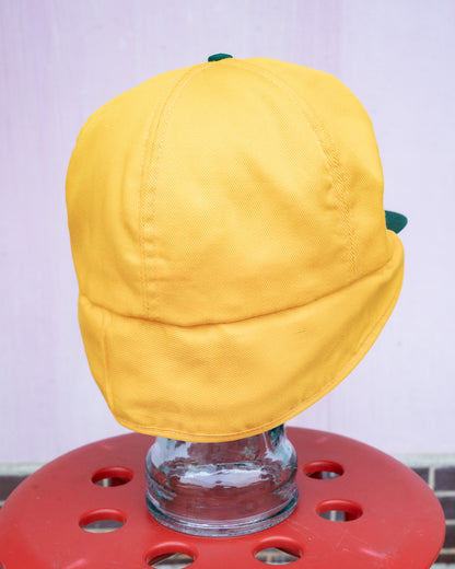 Early 1980s DeKalb Pfizer Genetics Two-Tone Ear Flap Hat