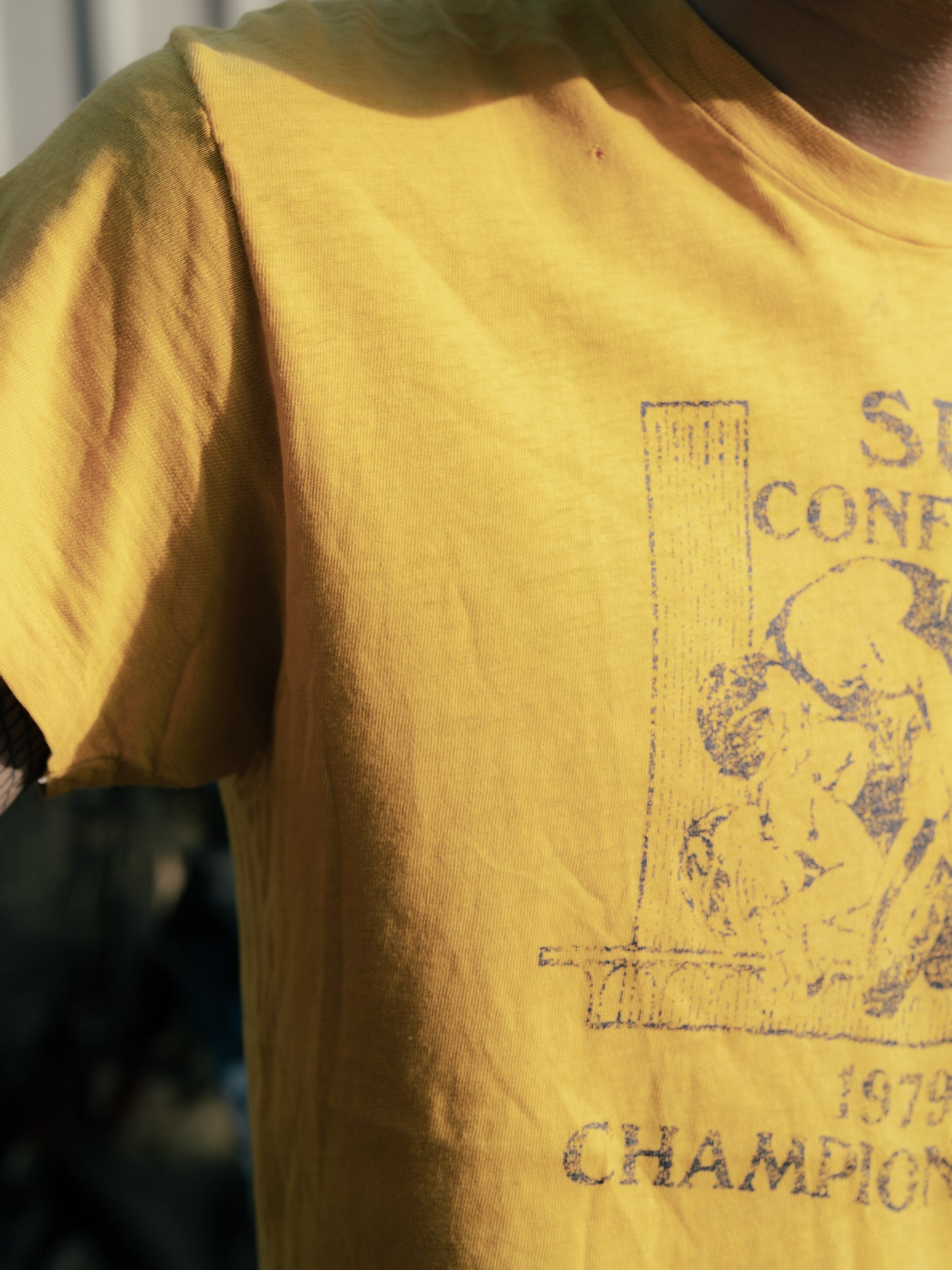 1970s "HANES" Suny Conference Championships Tee