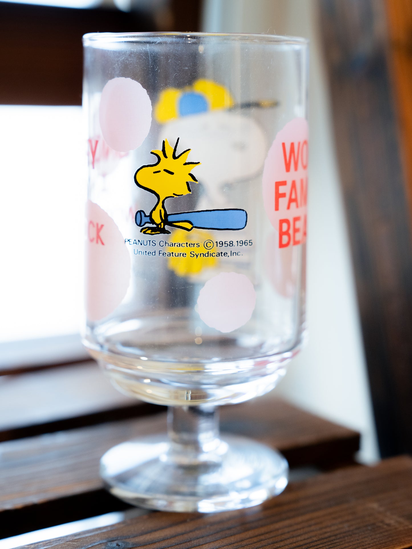 Old Snoopy Baseball Catcher Glass Tumbler
