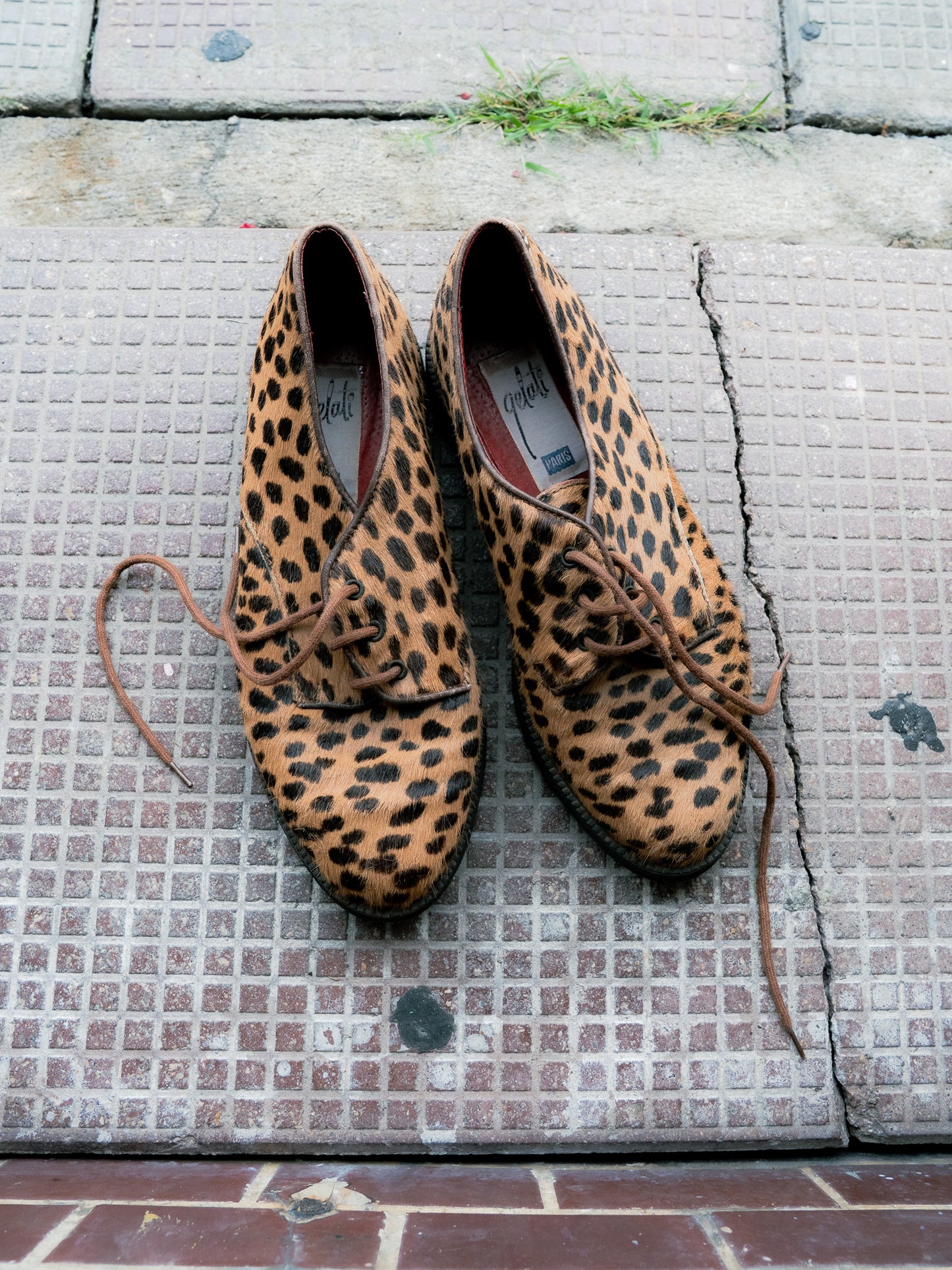 "GELATI PARIS" Leopard Shoes